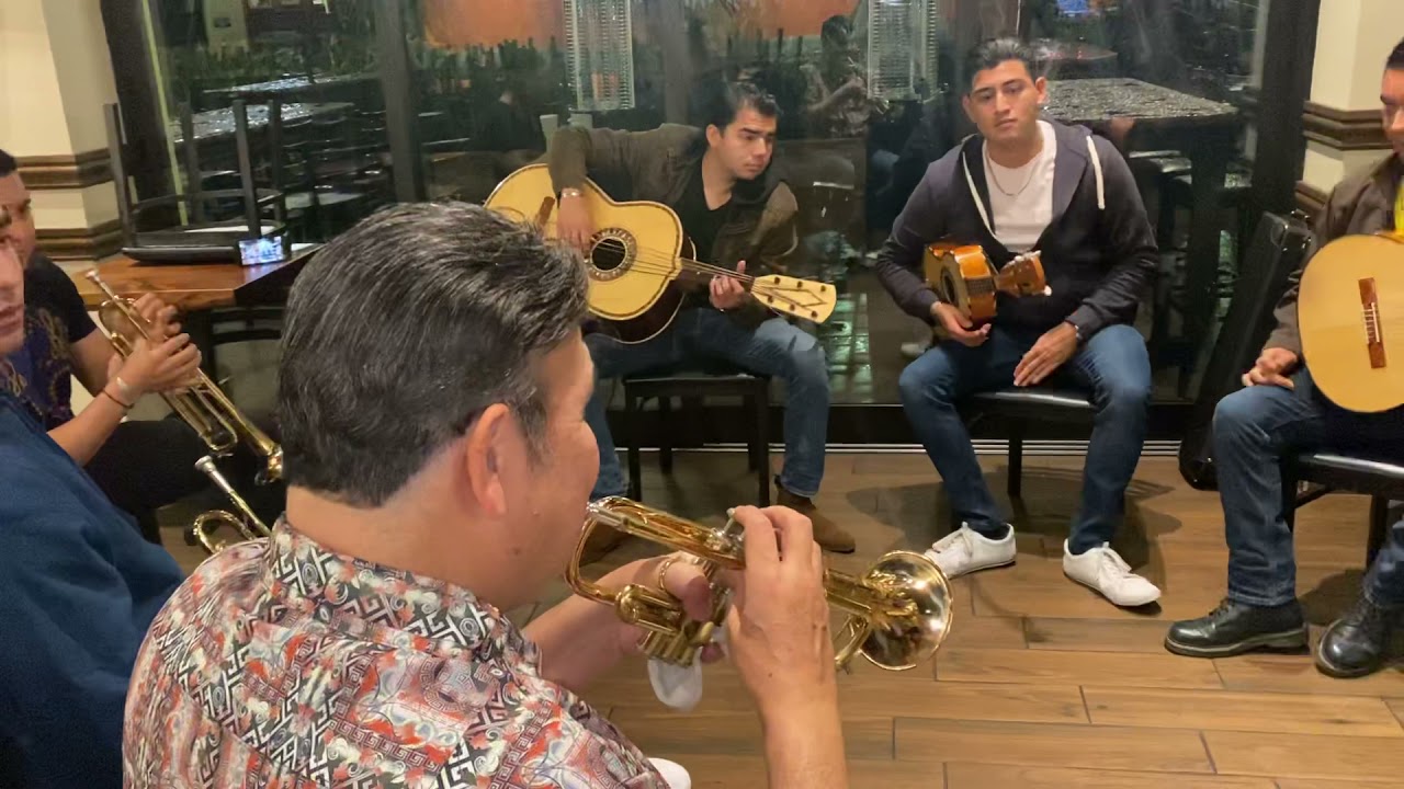 Ensayo de Mariachi Sol de México de José Hernández: Los Capires