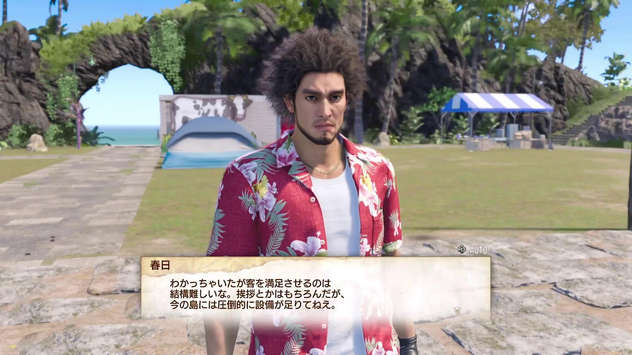 PS5  　龍が如く8(適当にブラブラかな？)
