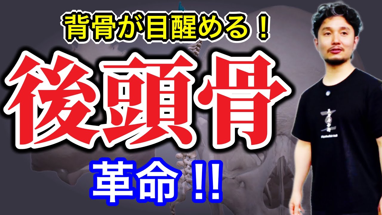背骨が目醒める後頭骨操作の話【身体開発・フィジカリストOuJi】