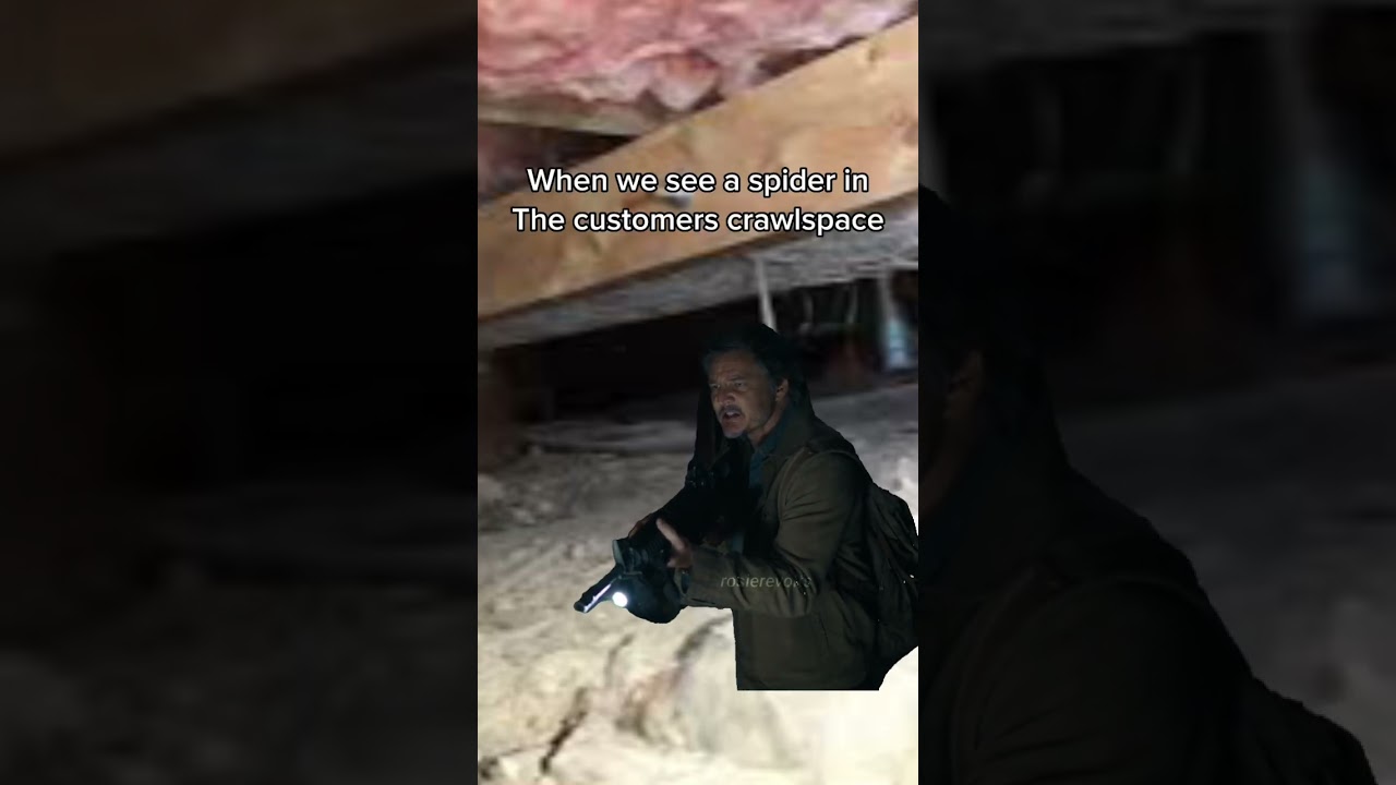 It&rsquo;s dangerous out here #fyp #relateable #spider #crawlspace #mitigation #crawling #restoration