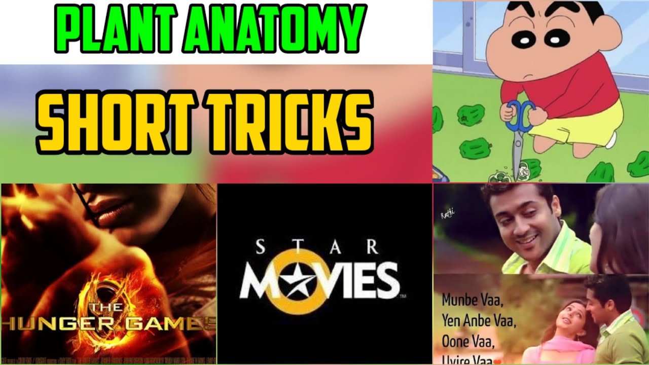 Plant Anatomy | Short tricks