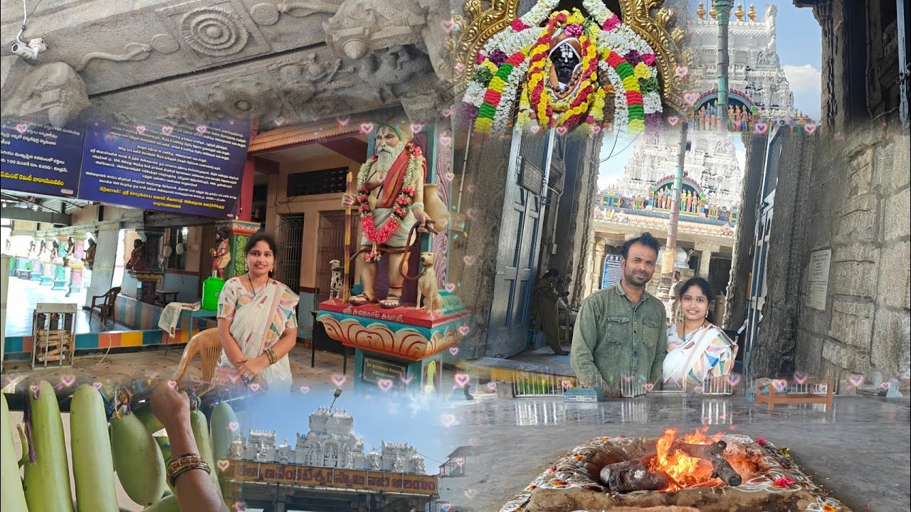 Sri Kalyana Venkateswara Swami Temple 🙏 Narayanavanam Vlog #omnamovenkateshaya #Govinda Govinda🙏