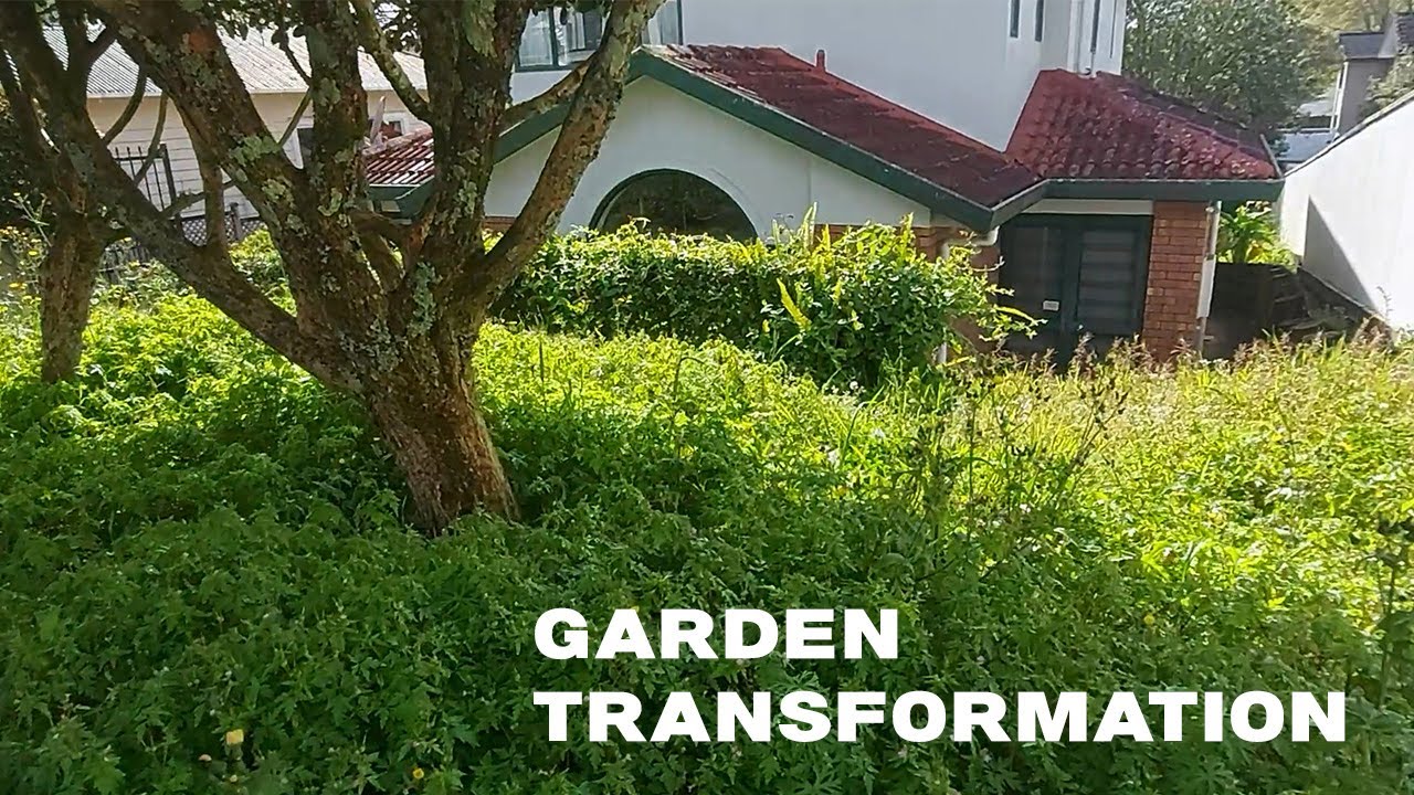 STUNNING GARDEN TRANSFORMATION | Whole process and beautiful result
