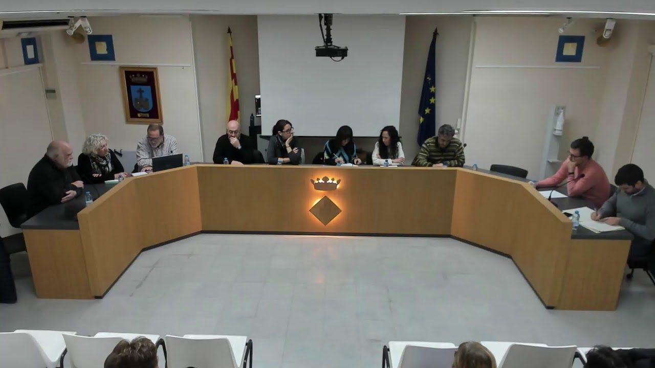 Ple ordinari 28/01/2026