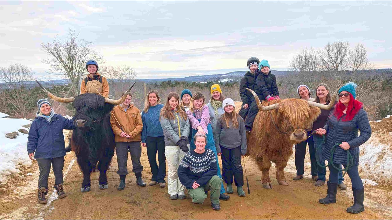 The Ultimate Cow Experience with the Martha's Vineyard 4H Katama Cowpokes