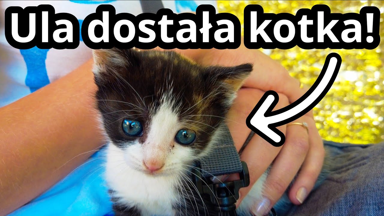 Ostatni odcinek z Czarnogóry - jak wróciliśmy do domu? | Czarnogóra #15