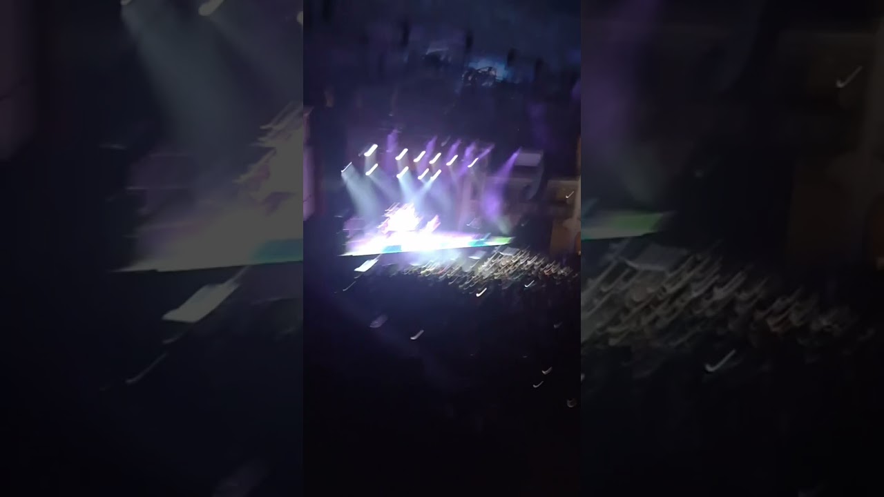 Molotov chicago 2026 