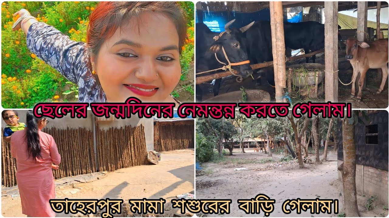 ছেলের জন্মদিনের নেমন্তন্ন করতে গেলাম তাহেরপুর মামা শশুরের বাড়ি। 