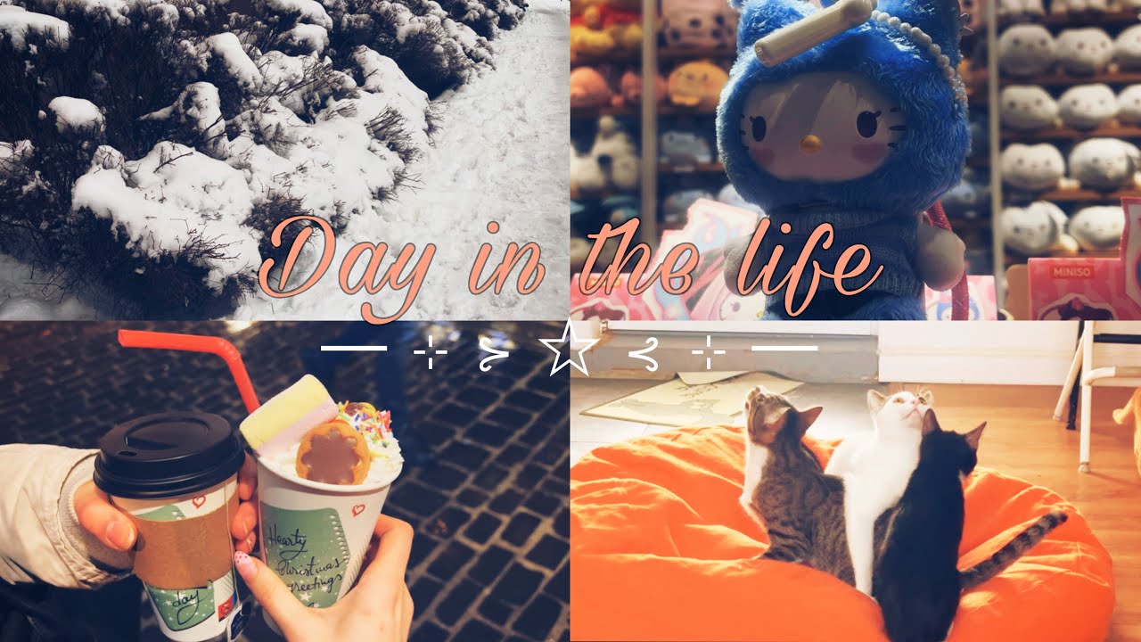 Day in the life ׂ 𓈒 ⋆ ۪˖ɞ| going to the cat shelter, shopping, skincare 