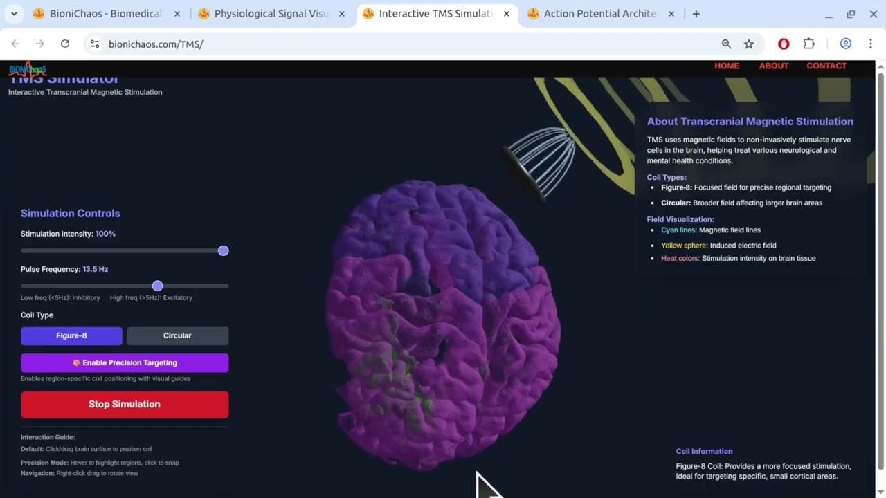 TMS Simulation: Visualizing Magnetic Fields & Brain Networks