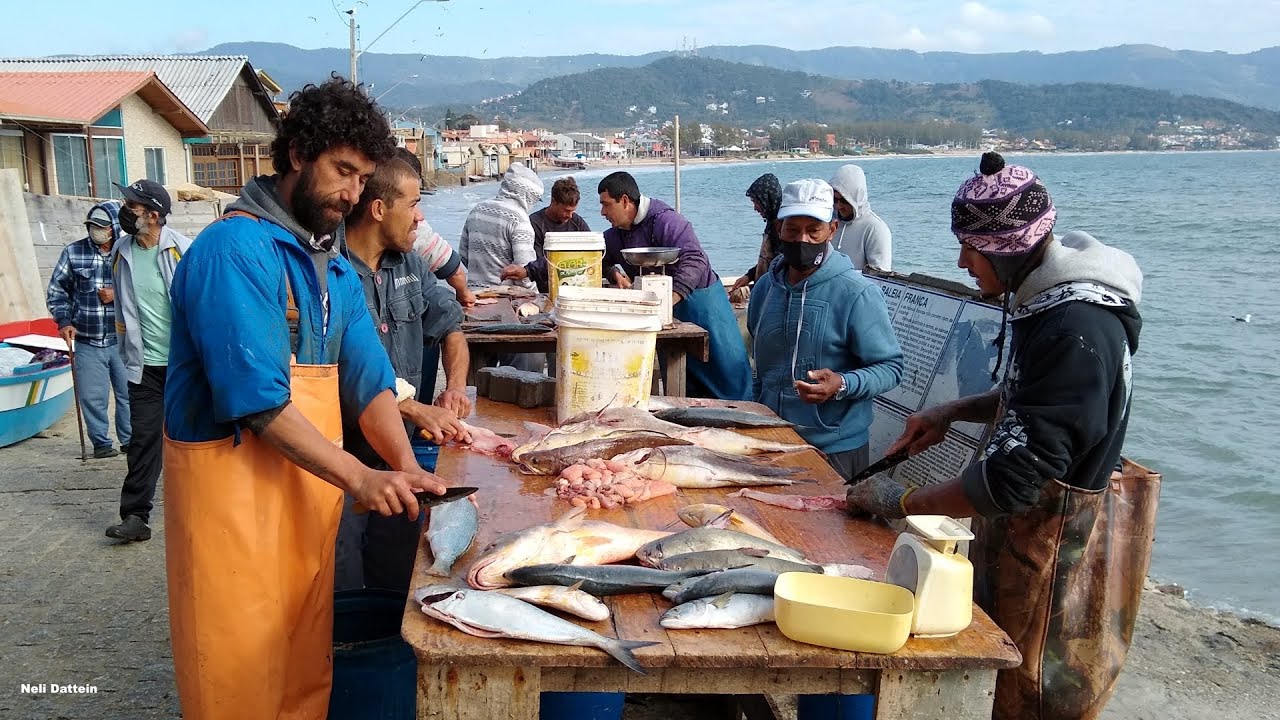 Pescaria, 16/07/20, peixes variados e seus respectivos preços, direto dos pescadores, Garopaba/SC.