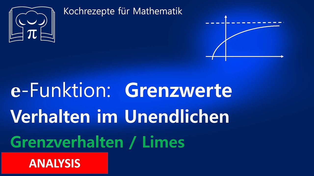 e Funktion Verhalten im Unendlichen, Grenzwert berechnen