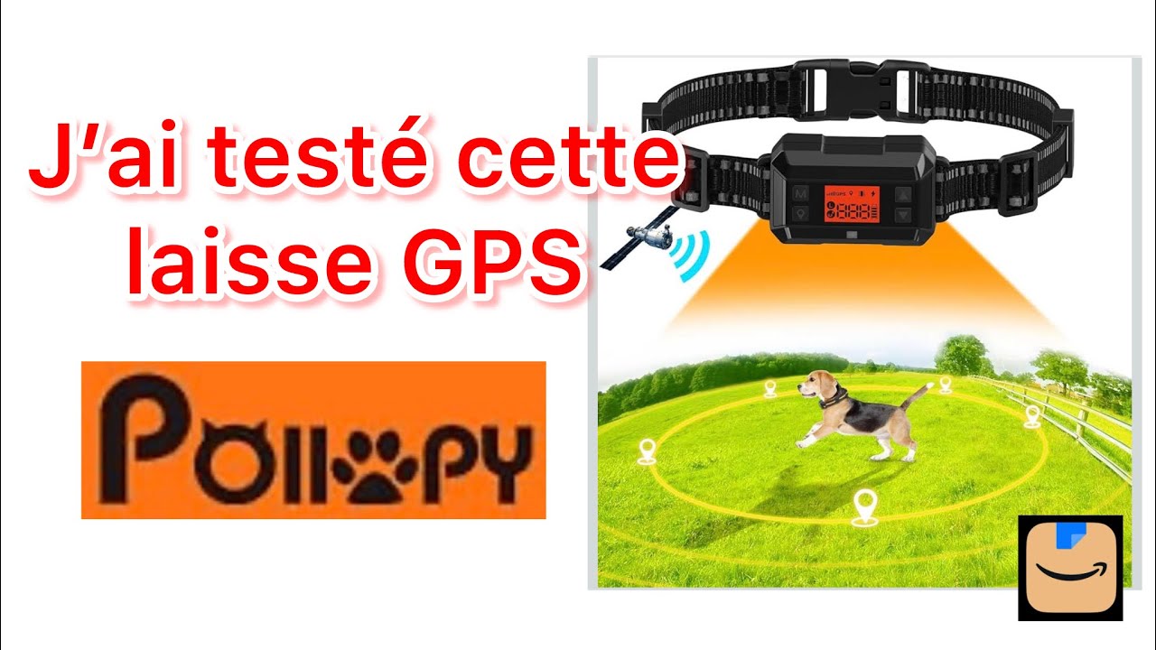 J’ai testé pour vous cette laisse GPS - POIIOPY