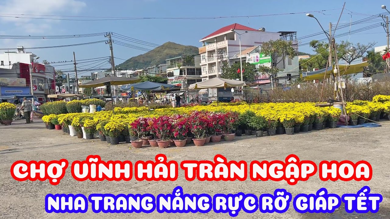 Hoa tết tràn ngập chợ vĩnh hải - từ biển hòn chồng đến phía bắc Nha Trang ngày giáp tết