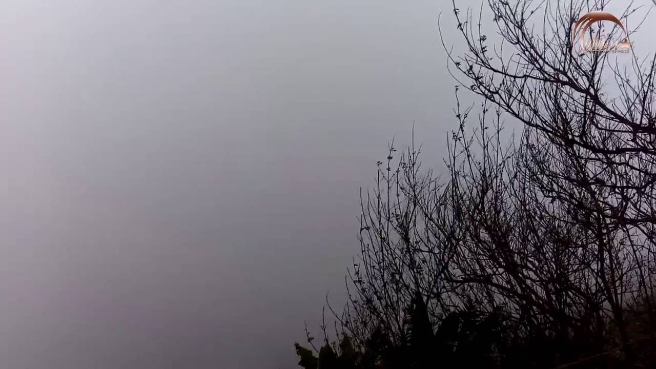 Fog : Free Stock Footage [Royalty free]
