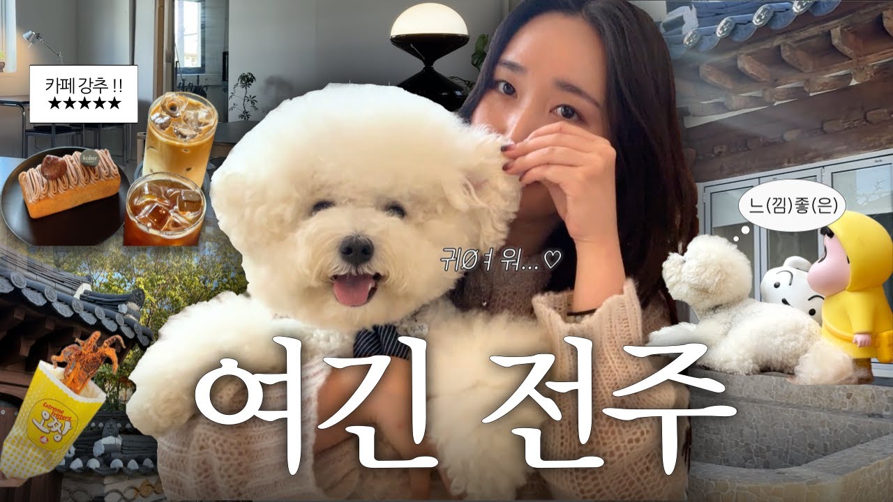 Vlog 소중한 순간을 모두 담아 온 완벽했던 우리의 전주 여행, 숙소 추천, 애견동반 추천 카페, 한옥 마을, 덕진공원