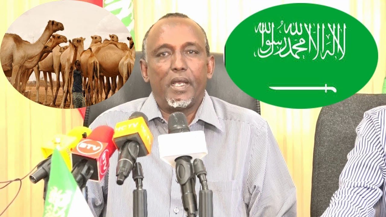SOMALILANMD OO SUCUUDIGA UGU HANJABATAY IN AY JOOJIN DOONAAN XOOLAHA LOO DHOOFIYO