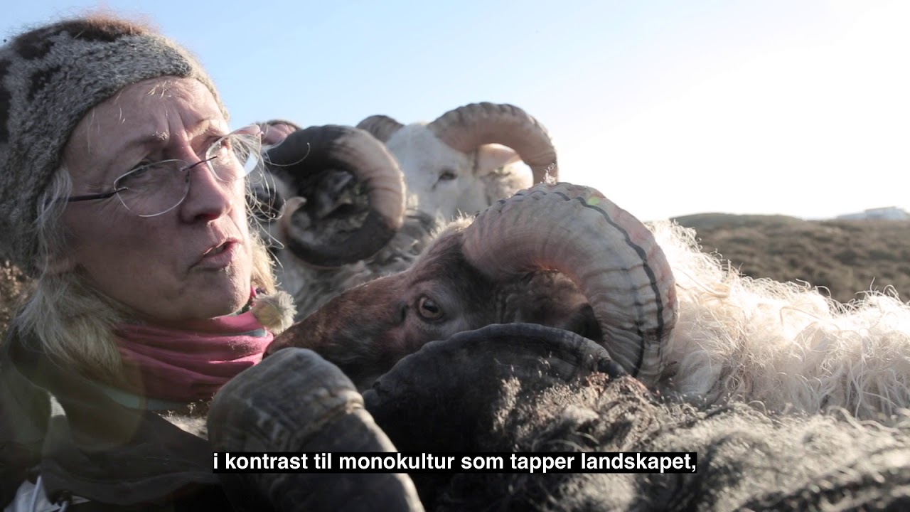 Norges eldste kulturlandskap: Kystlynghei