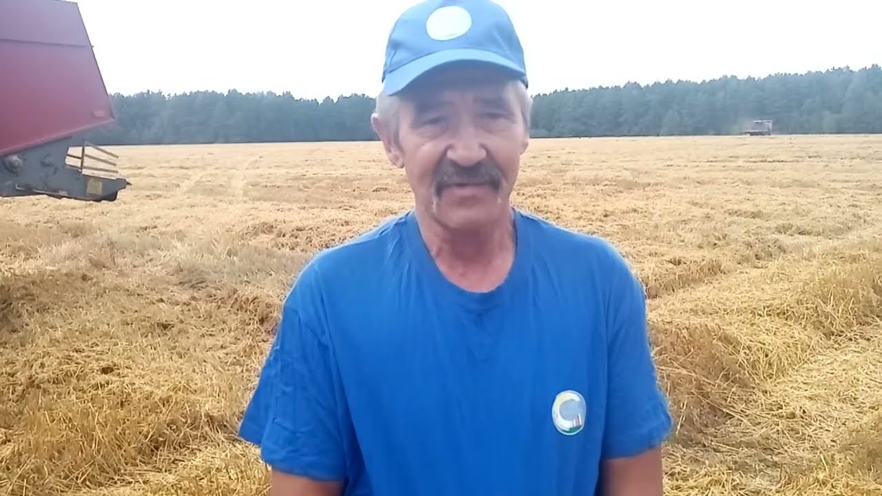 На Кричевщине прошли «Дожинки»