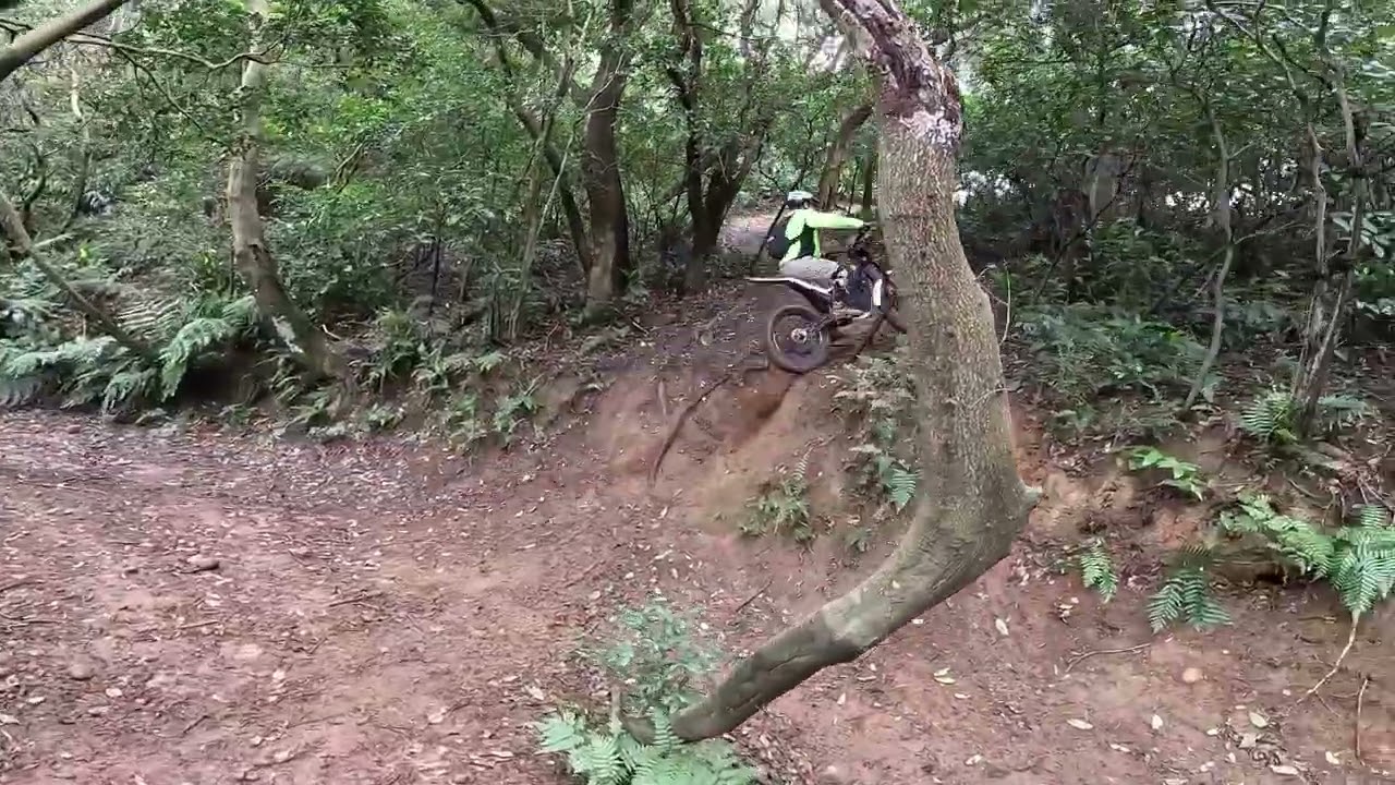 2026-2/25🐢⛰️🀄️坑越野車樂園（初九）