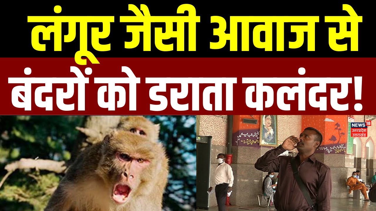 Lucknow News: लखनऊ के चारबाग रेलवे स्टेशन पर कलंदर की वजह से बंदरों का आतंक खत्म |  UP News
