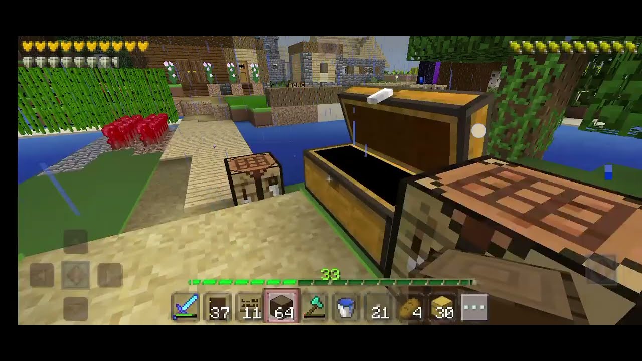 Minecraft #22