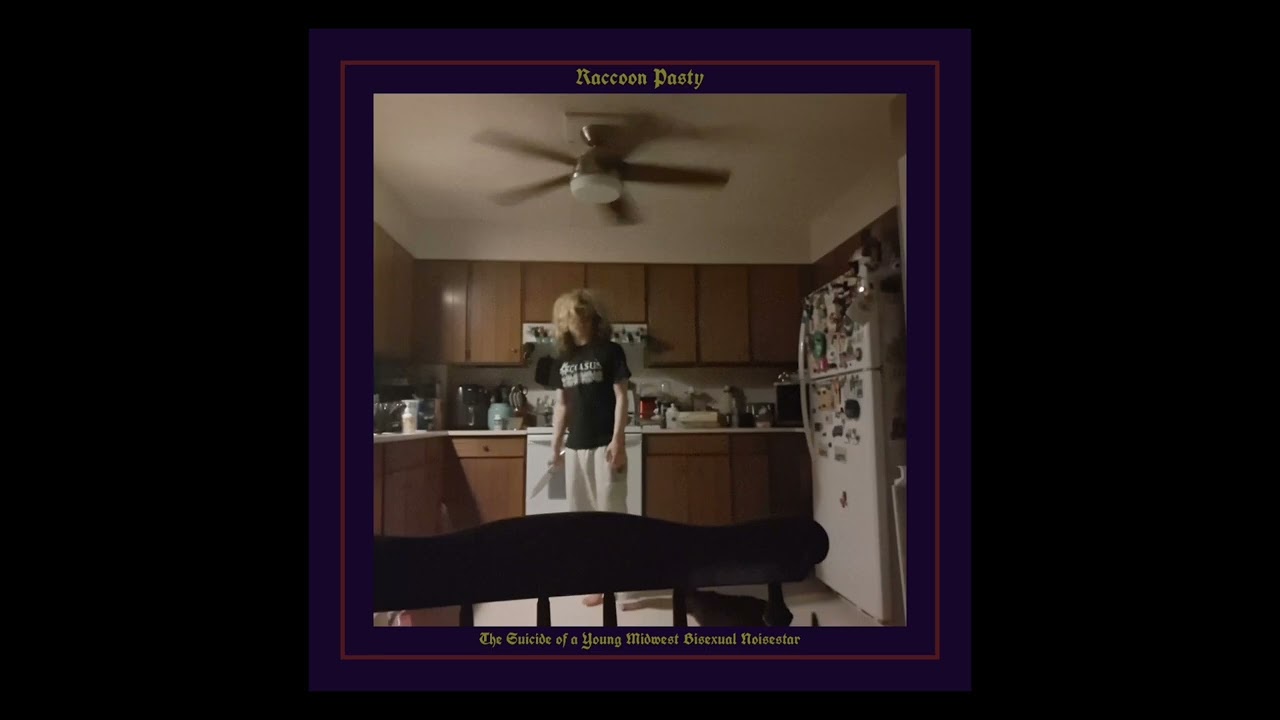 The Suicide of a Young Midwest Bisexual Noisestar (Official Audio)