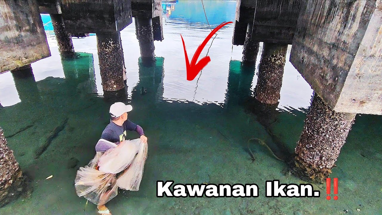 JALA IKAN TEPAT DI ROMBONGAN IKAN YANG SEDANG NGUMPUL.‼️ Amazing Fishing Nets