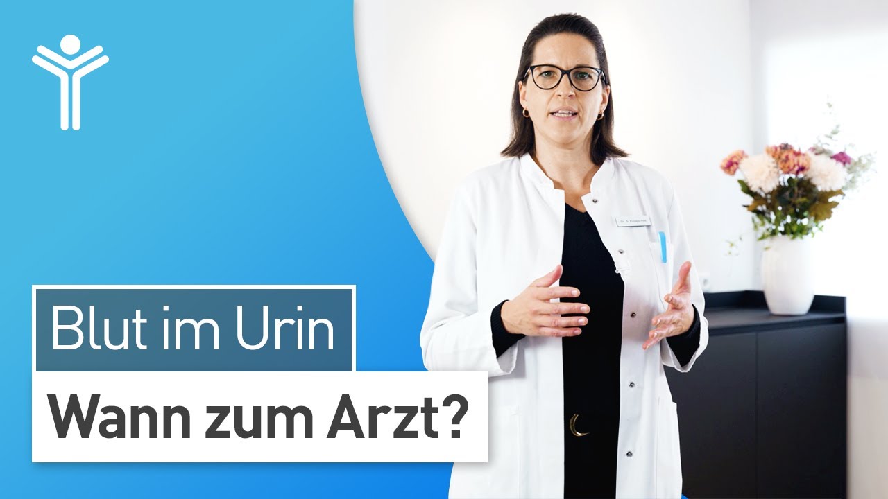 Ist Blut im Urin gefährlich? Ursachen und wann Sie zum Arzt sollten! | Makrohämaturie