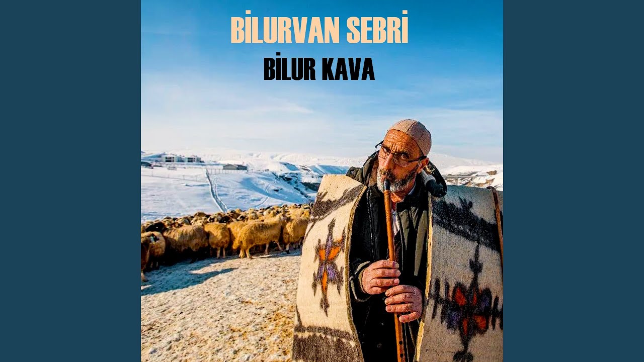 Bilur Kava
