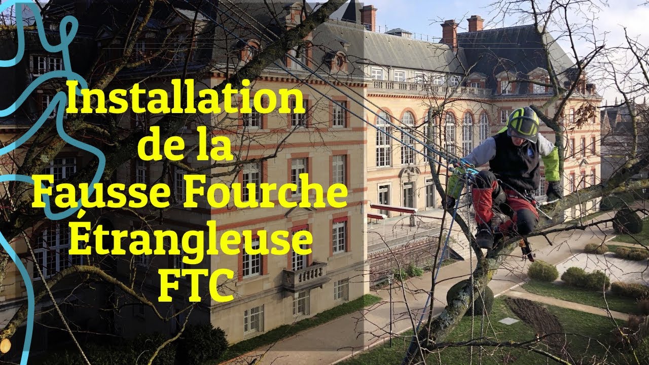 Élagage : Fausse Fourche Étrangleuse F.T.C - Technique N°2