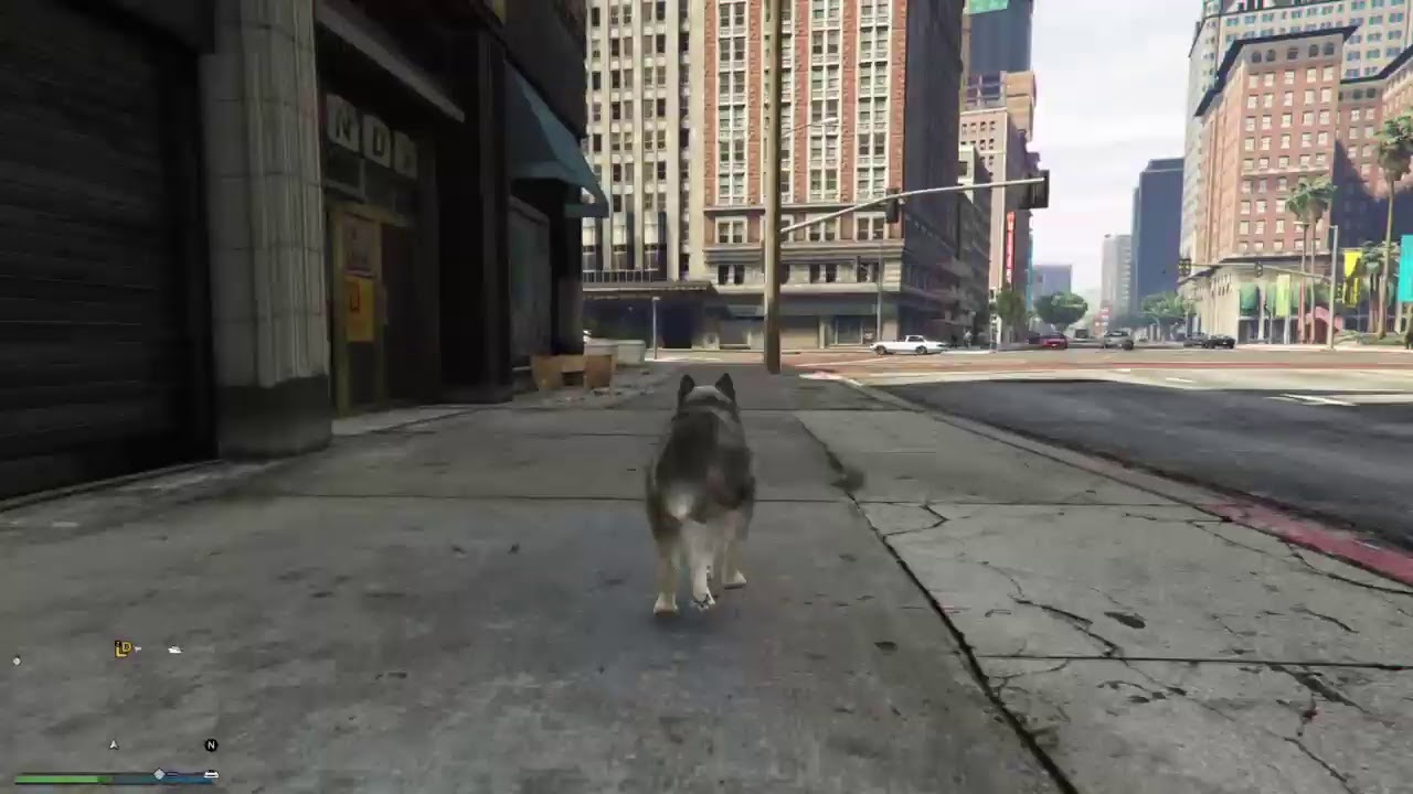GTA Online Living as a Husky in Los Santos