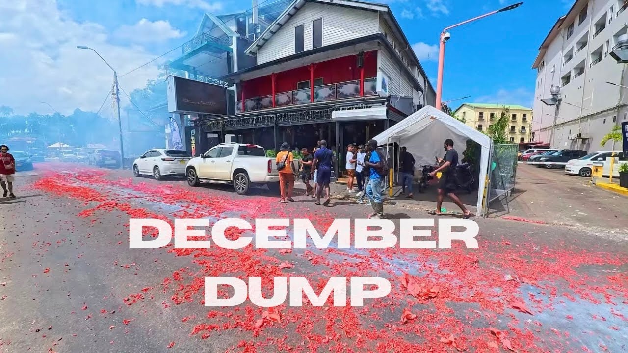 Last week of December Recap 🎬🎉🇸🇷| @Itstmpcurlssslife2 