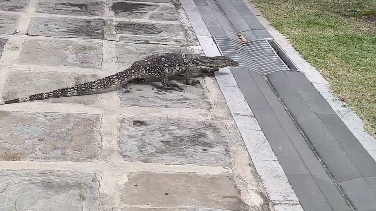 Tailandia paisajes 4