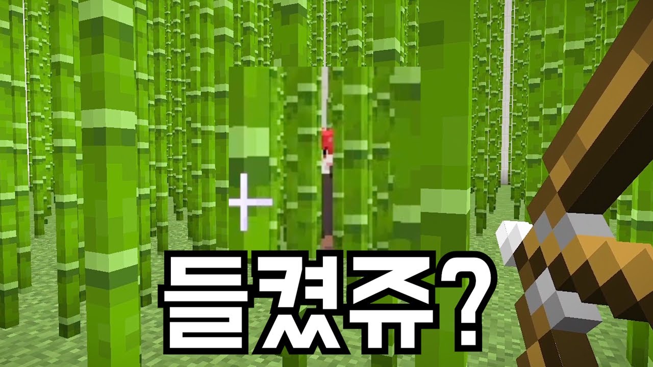 대나무 숲 PVP
