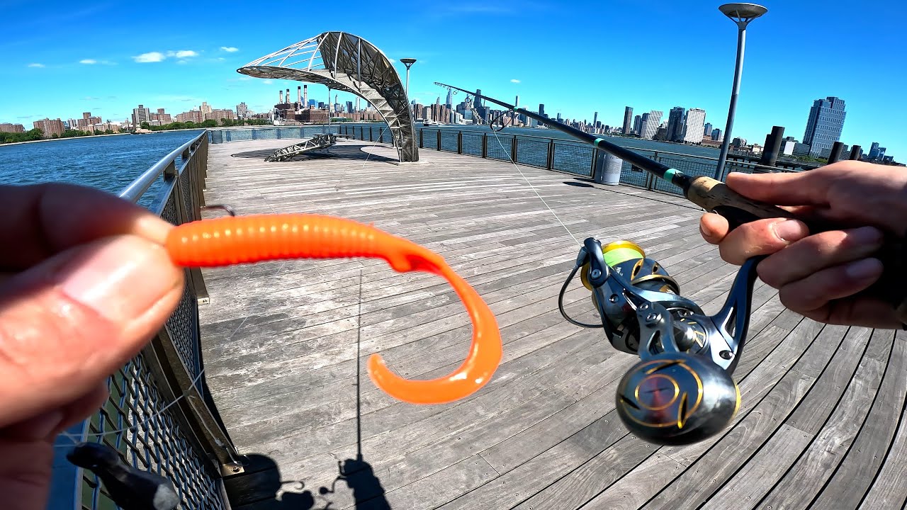 East River Fishing NYC Lures and Bait