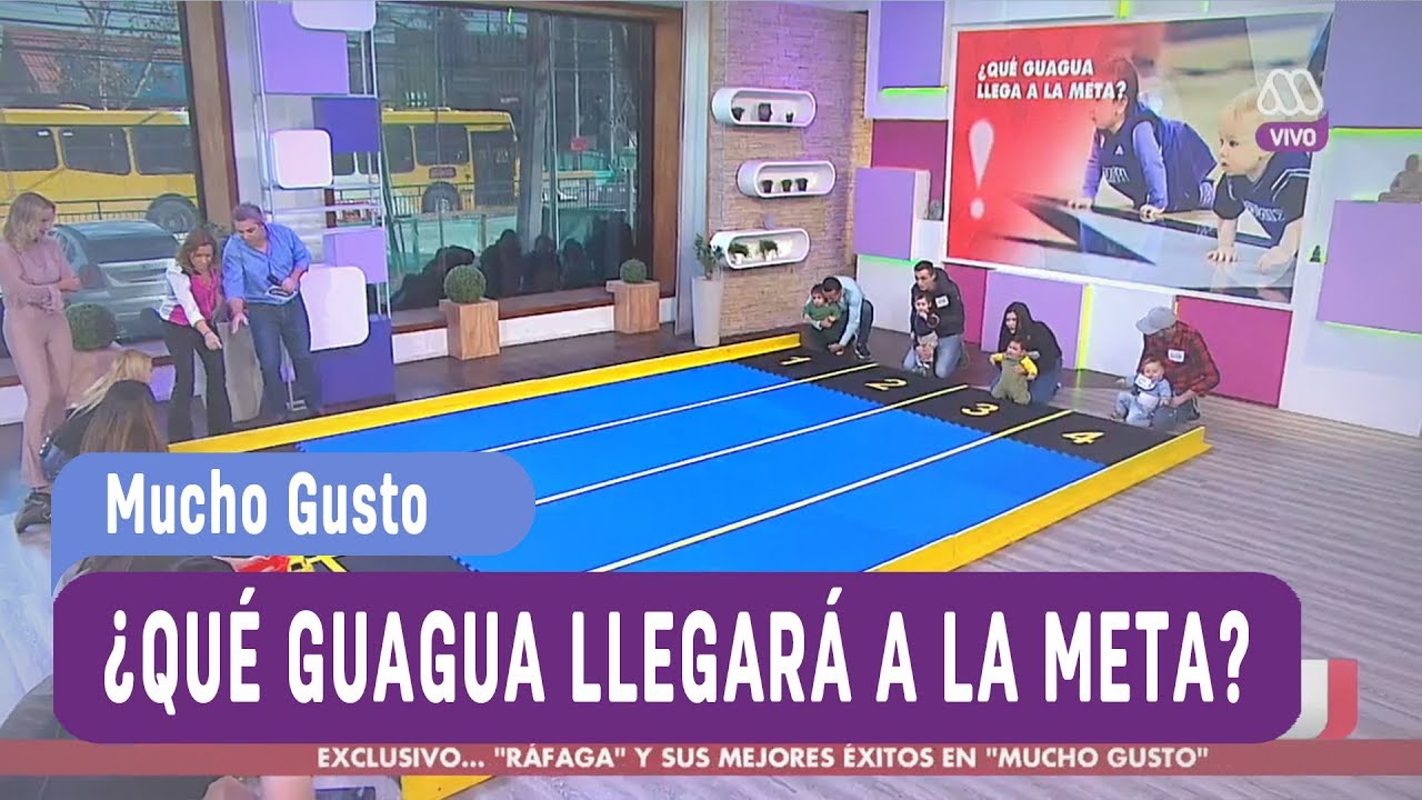 ¿Qué guagua llegará a la meta? - Mucho Gusto 2017