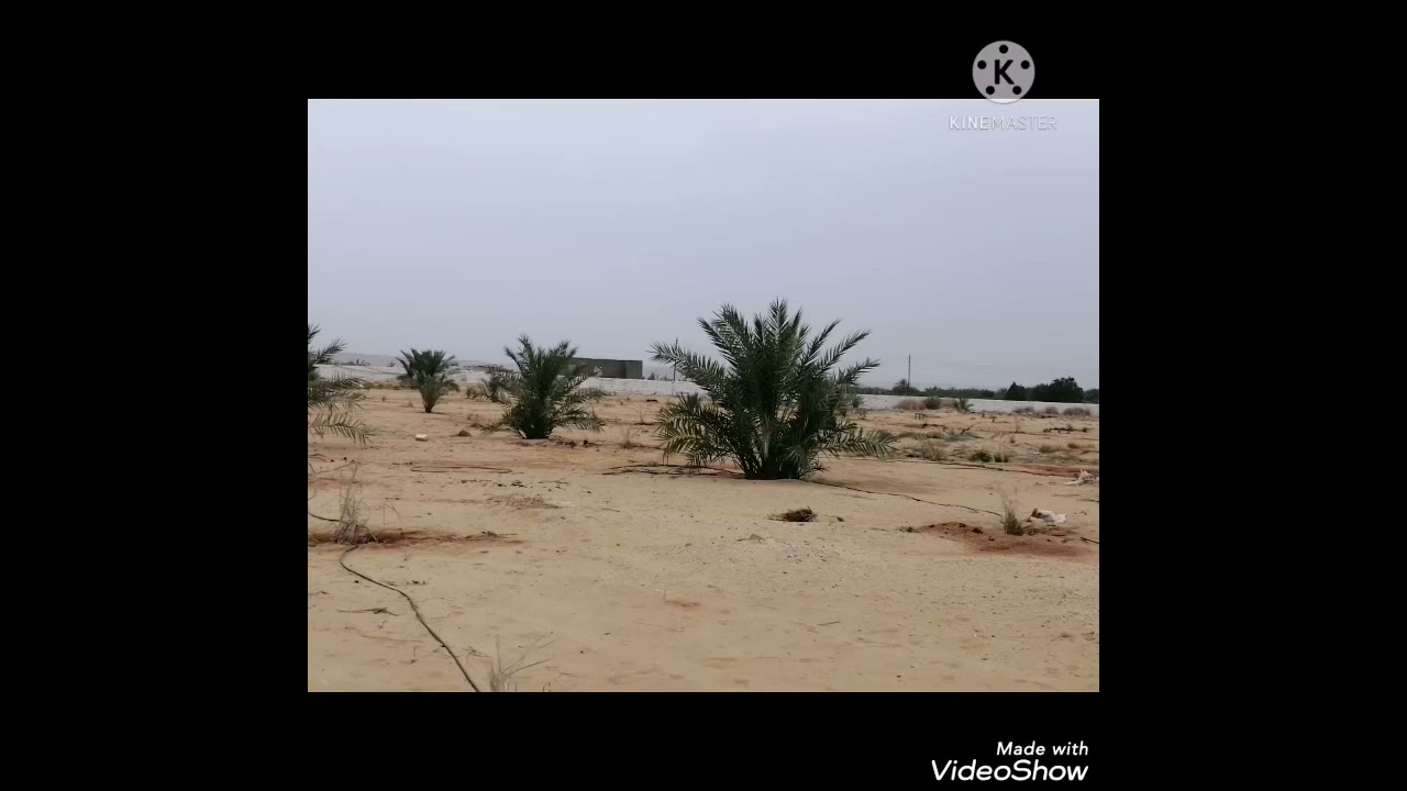 شهاده لله الزراعه فى الصحرا مربحه ام لا