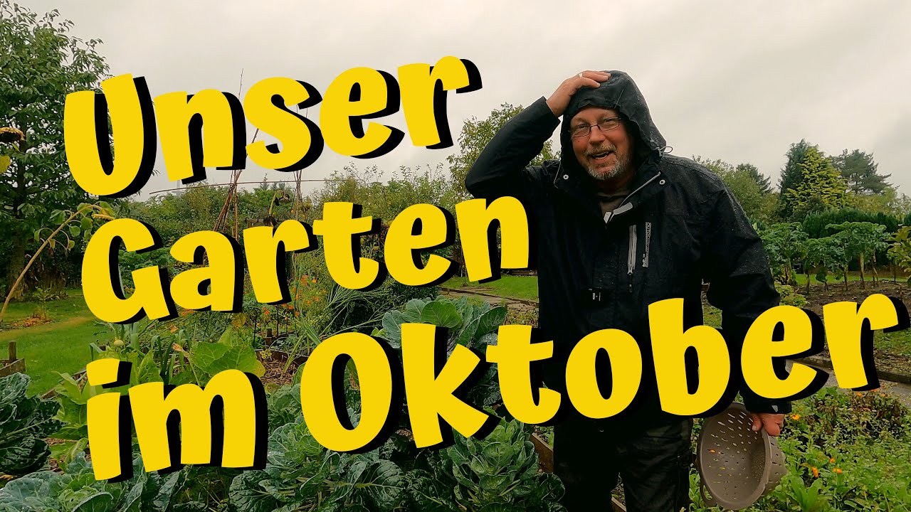 Gartenrundgang im Oktober, mit Wasser im Ohr und Matsch am Fuß