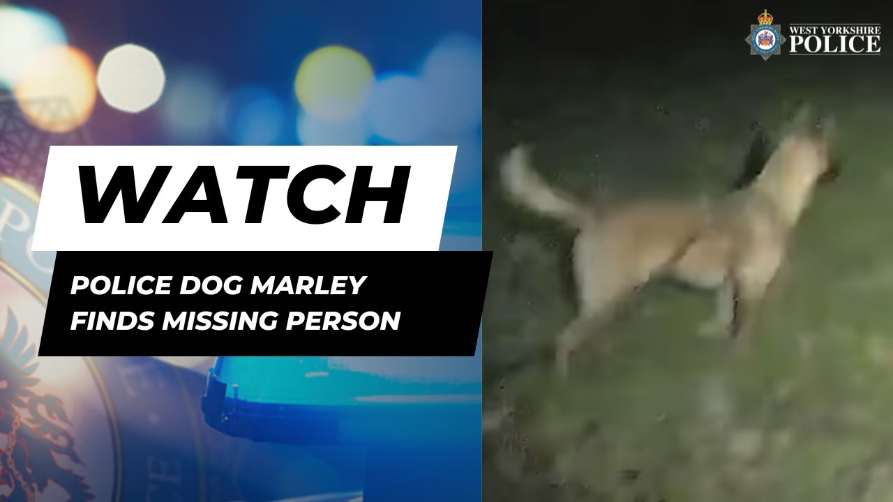 Police Dog Marley Finds Missing Person