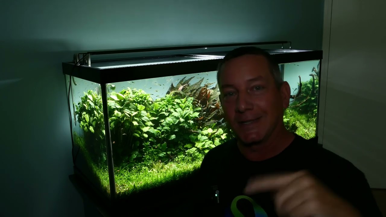 Glowrium's MOONBEAM Aquarium Light Review @ssaquascapes