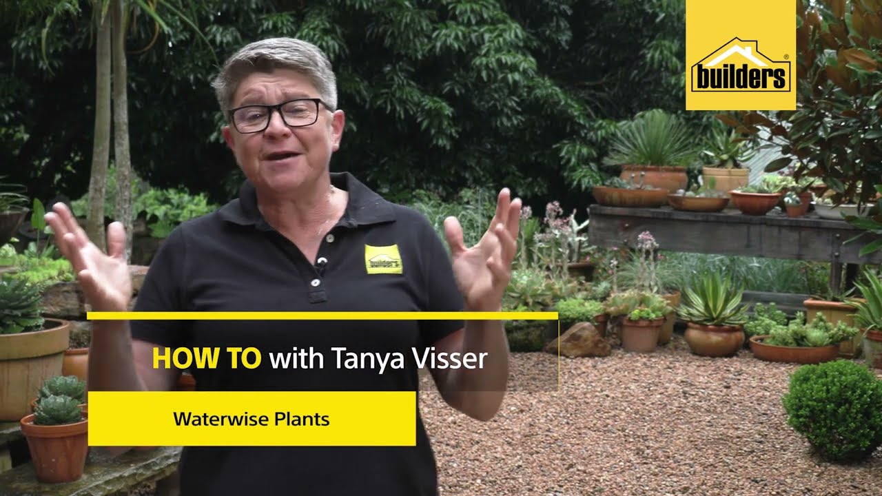 Tanya's Top Tips | Be Waterwise by Planting the Right Plants