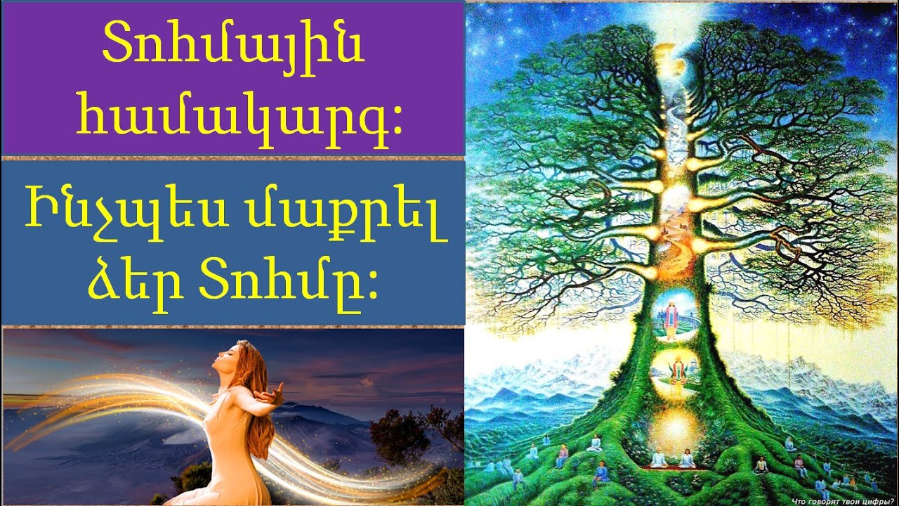 Տոհմային համակարգ: Դրական և բացասական ծրագրեր: Ինչպես մաքրել ձեր Տոհմը: №2