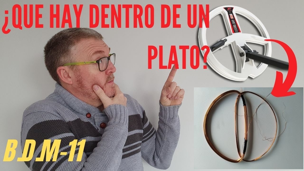 Antenas de detectores de metal por dentro
