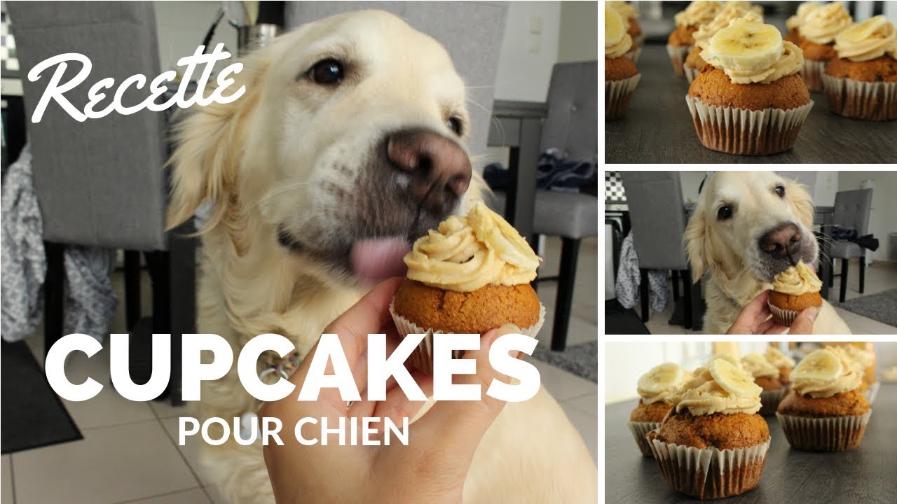 TUTO - CUPCAKES POUR CHIEN peanut butter/carotte