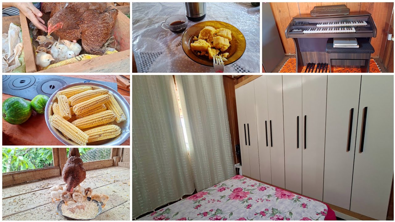 DIA DE LIMPAR A CASA E PODAR MINHAS PLANTAS 🌿🧹 ROTINA NA ROÇA