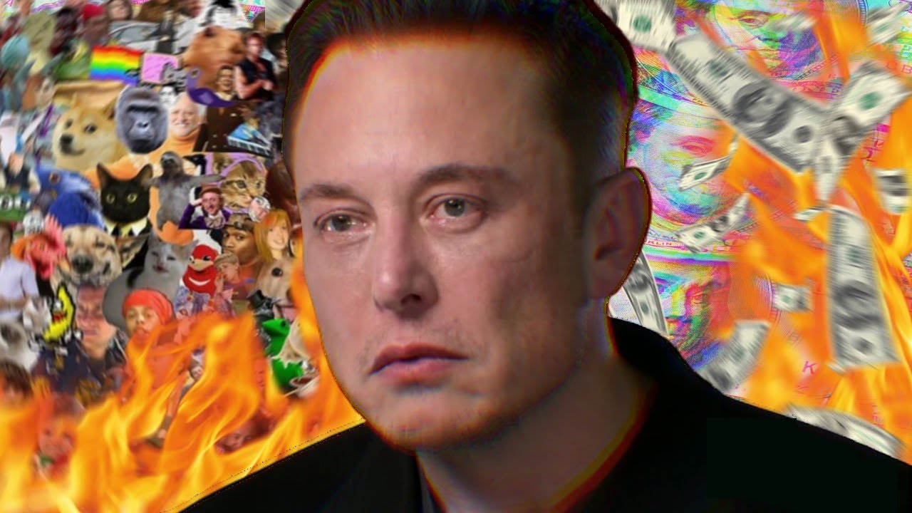 How A Meme Empire Collapsed Over Night