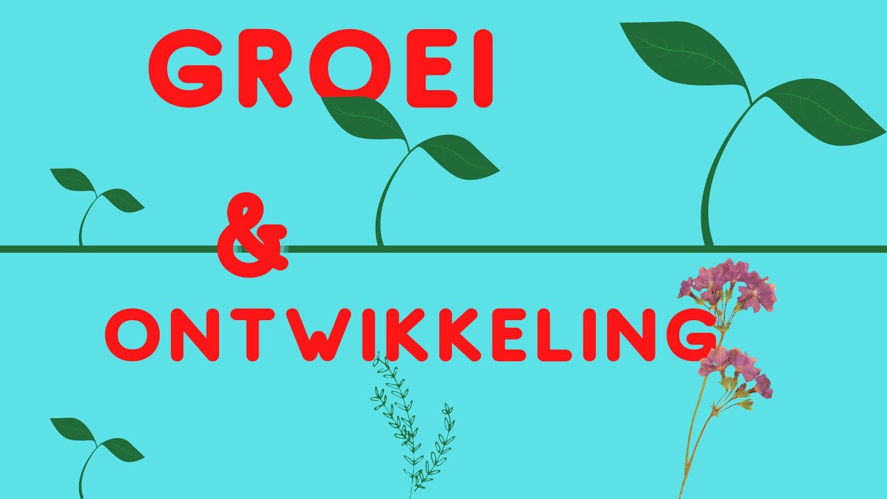 Planten en Dieren // Groei en Ontwikkeling