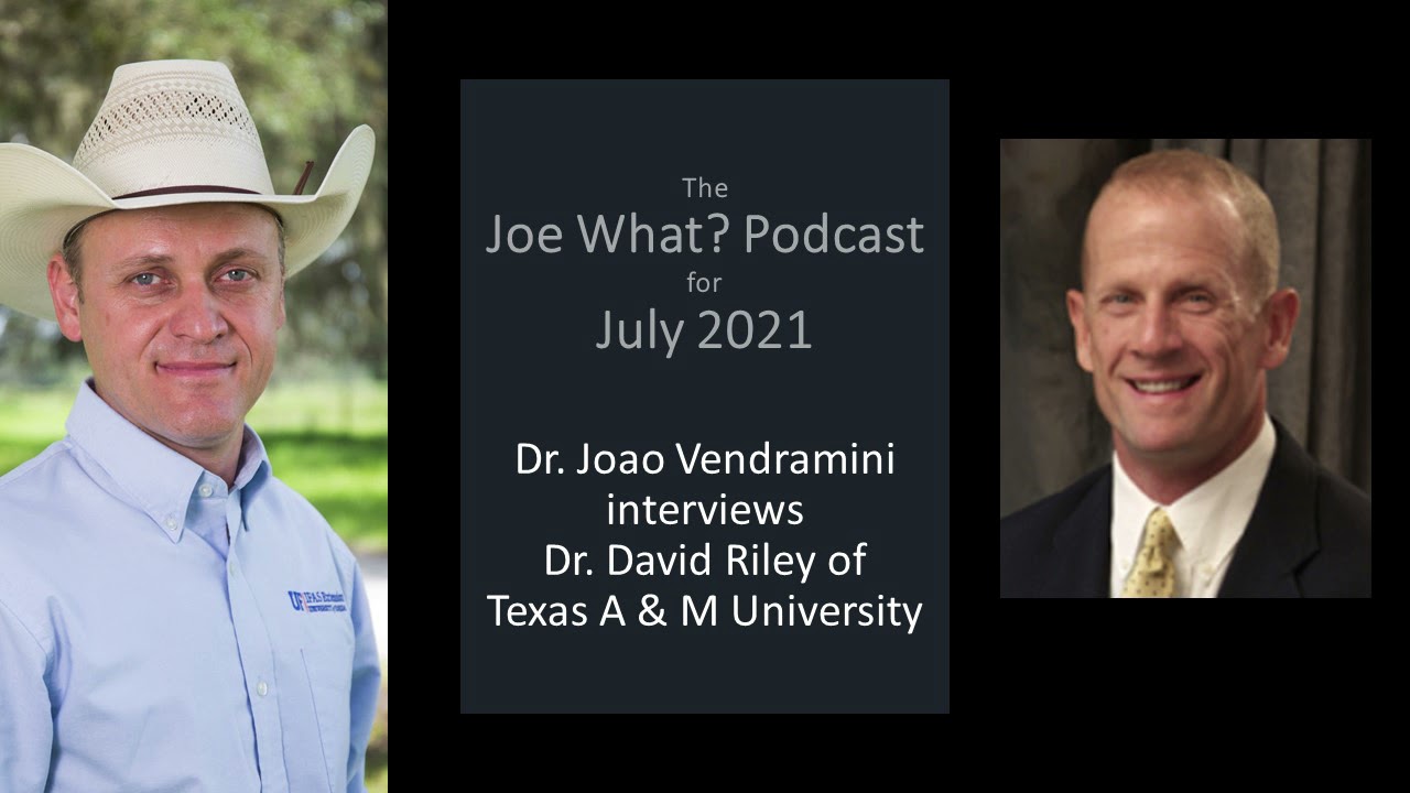 Dr. Joao Vendramini Interviews Dr. David Riley