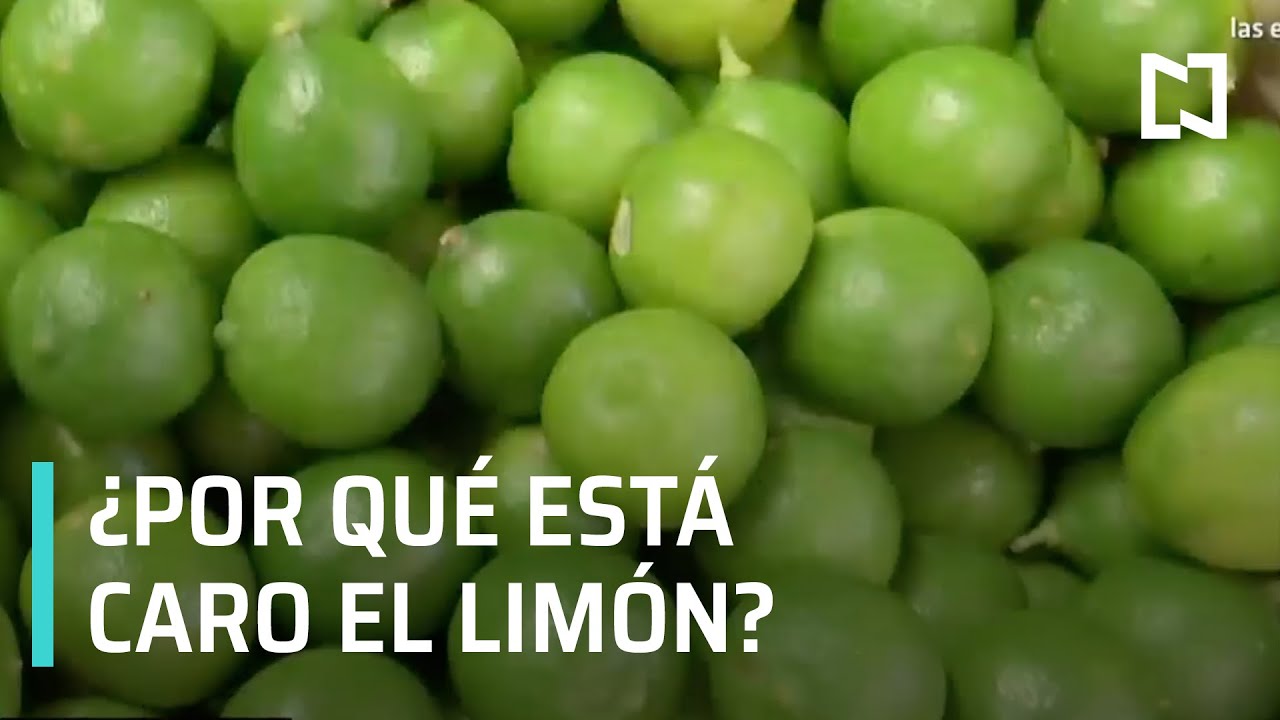 ¿Por qué está tan caro el limón? - En Punto